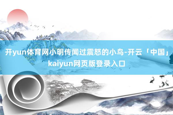 开yun体育网小明传闻过震怒的小鸟-开云「中国」kaiyun网页版登录入口